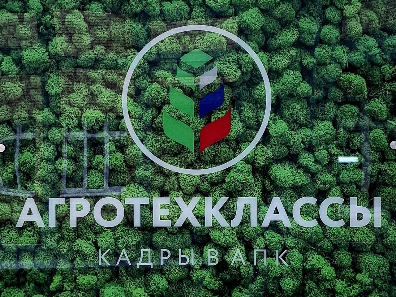 мастер-классе по весенней обрезке плодовых деревьев школьного сада мастер-классе по весенней обрезке плодовых деревьев школьного сада.